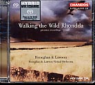 Heneghan & Lawson Virtual Orchestra / Walking the Wild Rhondda // Ian Lawson / Ben Heneghan