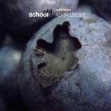 Alvin Lucier / Old School / Zeitkratzer