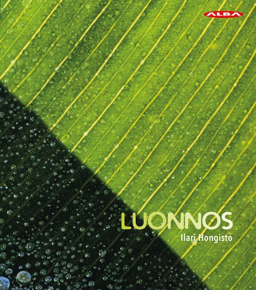 Ilari Hongisto / Luonnos