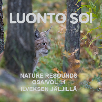 Luonto soi vol. 14 / Ilveksen jäljillä / Finnish Nature Resounds / Following the Footsteps of the Lynx