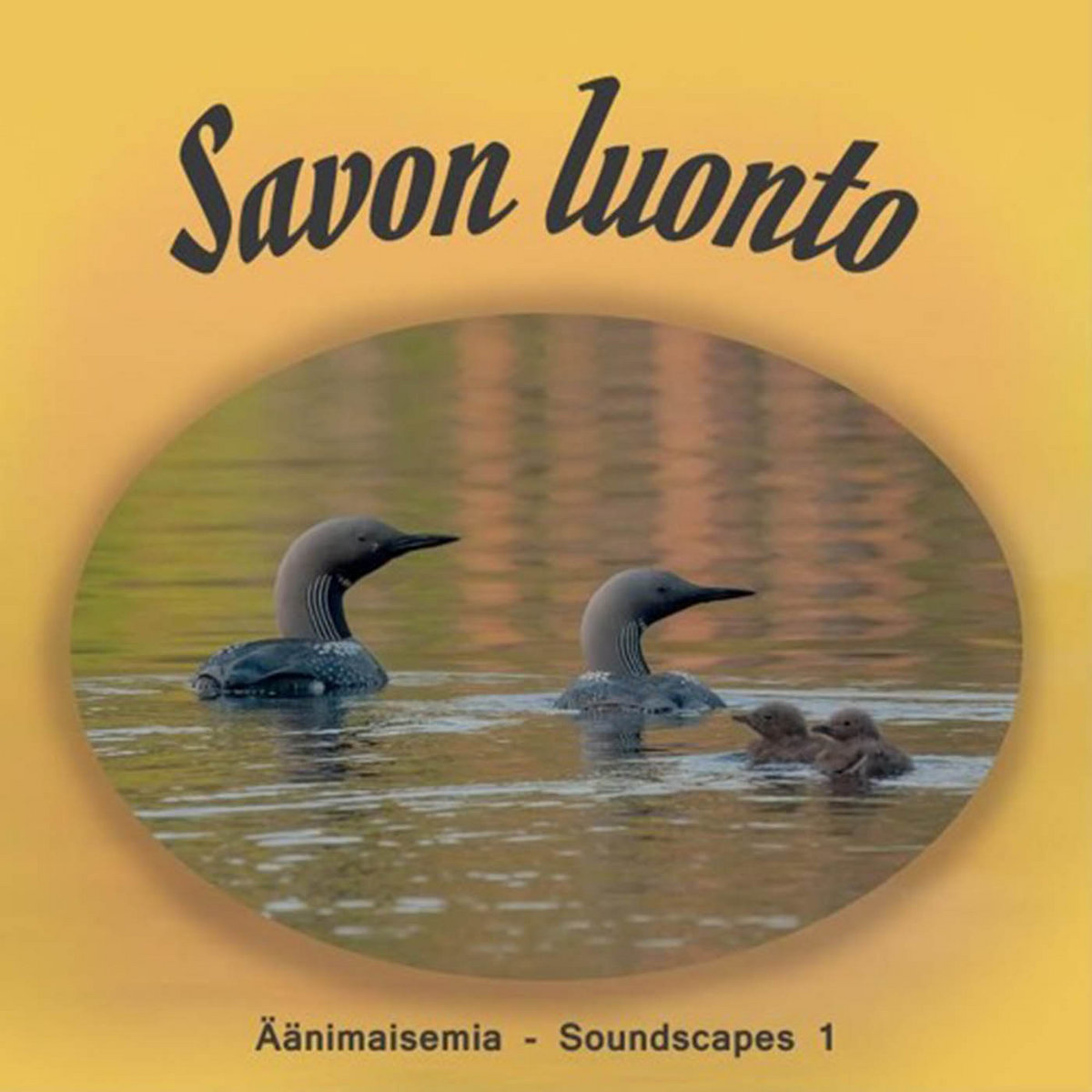 Savon luonto / Äänimaisemia 1
