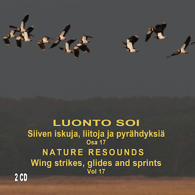 Siiven iskuja, liitoja ja pyrähdyksiä / Luonto Soi osa 17