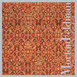 Morton Feldman / Patterns in a Chromatic Field / Charles Curtis / Aleck Karis
