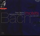 J.S. Bach / Motets // Nederlands Kamerkoor / Peter Dijkstra