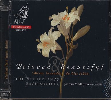 Johannette Zomer / Beloved & Beautiful // Georg Böhm / J.C. Bach / Heinrich Schütz / J.S. Bach