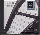 Substring Bridge / Mats Bergström, Guitar