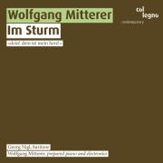 Wolfgang Mitterer / Im Sturm